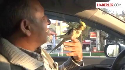 "Bıcırık"a olan sevgisini çocukları bile kıskanıyor -