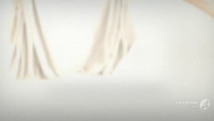 Pronovias Wedding Dresses Collection