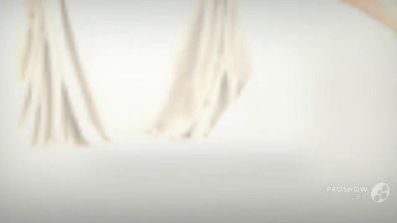 Pronovias Wedding Dresses Collection