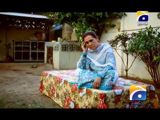 Chhoti Chhoti Khushiyan - Ep 117