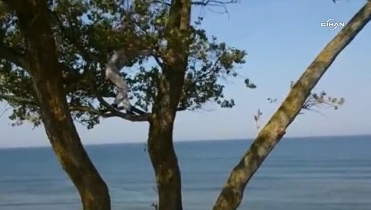Tarzan’a özenmek isterken az kalsın hayatından oluyordu