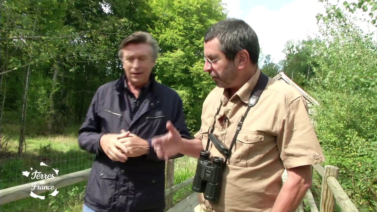 Terres de France - S02E02 - Aux Lacs et Forêt d’Orient Partie 1