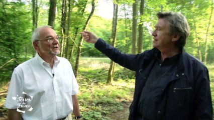 Terres de France - S02E02 - Aux Lacs et Forêt d’Orient Partie 2
