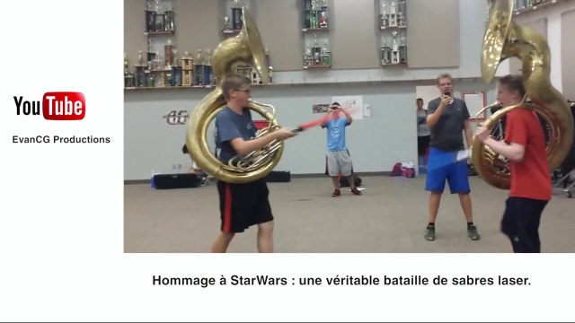 Un papillon qui aime la flûte: le zapping insolite