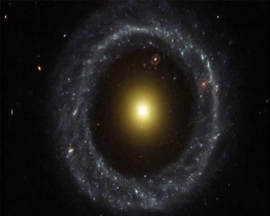 Zu dumm um frei zu sein