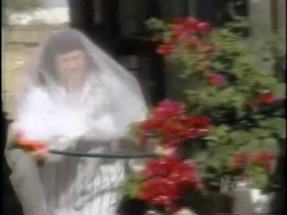 Bütün Arıların Adama Saldırması