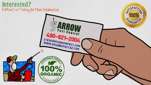 Arrow Pest Control: Professional Pest Control in the Mesa Arizona Area