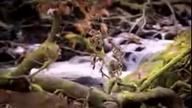 Как много тех, с кем можно лечь в постель. Как мало тех, с кем хочется проснуться… Эдуард Асадов