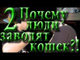 Реалистичный подход: Почему люди заводят кошек?!