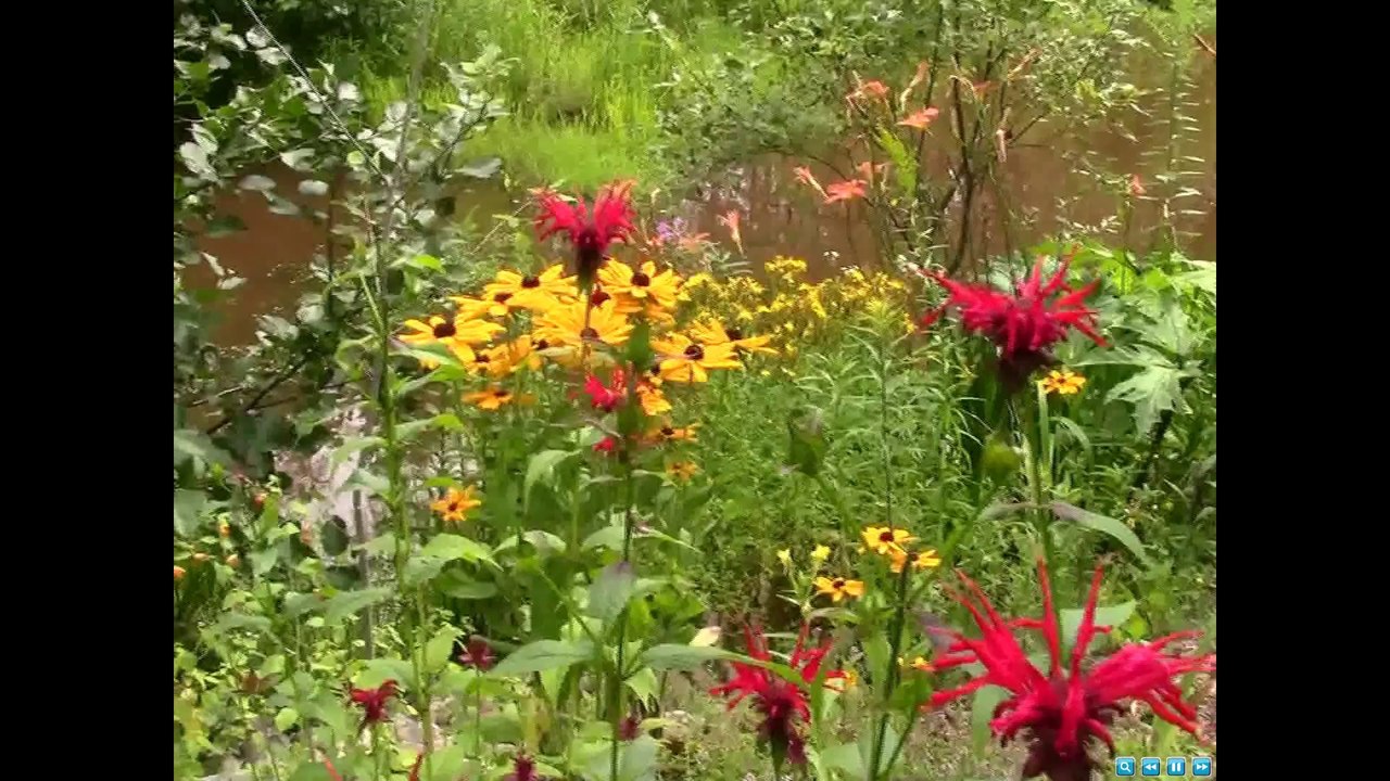 floressens part 3