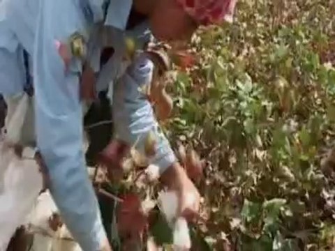 Devrim Kaya & Kırtıl Semahı