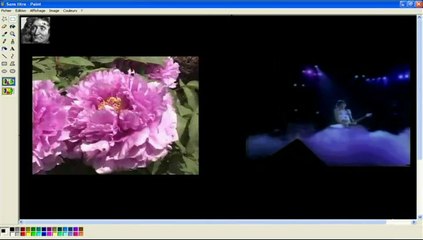 La cigale et la fourmi ~ the grasshopper and the ant