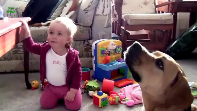 Babies Laughing at Dogs Eating Bubbles Compilation 2014 [NEW HD]