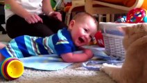 Babies Laughing Hysterically at Cats Compilation 2014 [NEW HD]