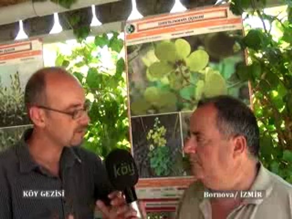 184.Program Ege Üni  Endemik Bitkiler