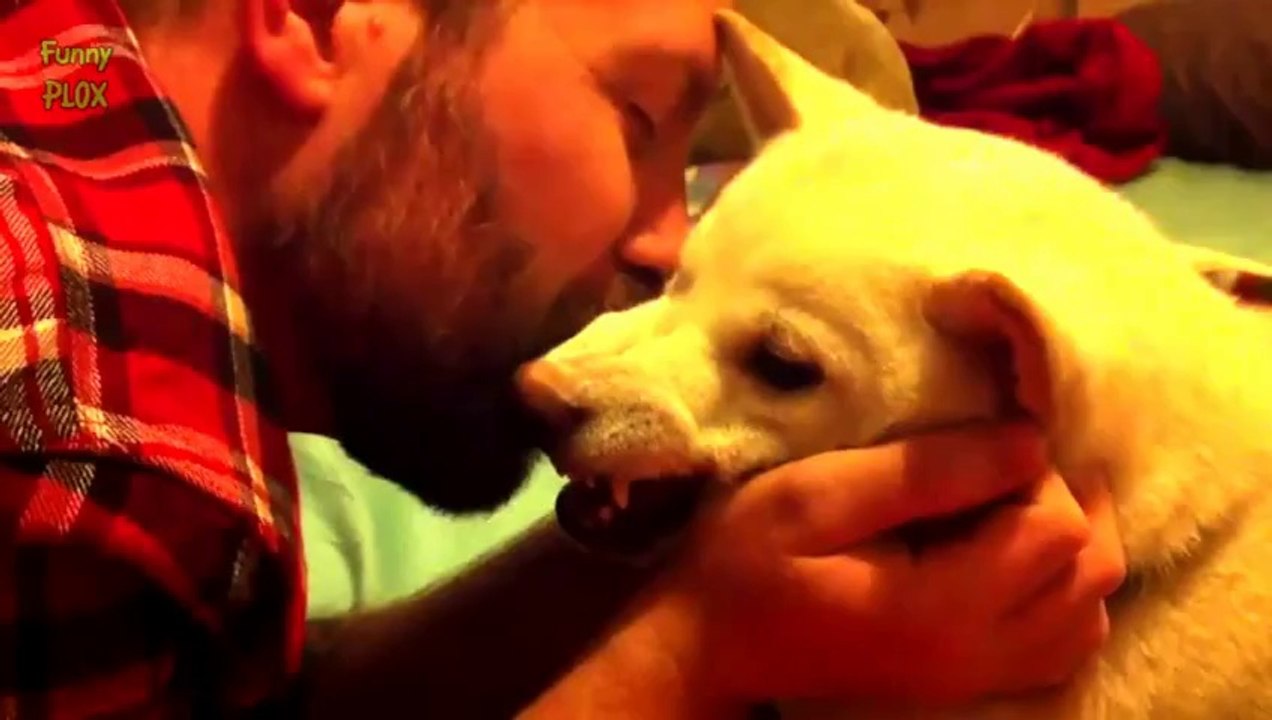 Funny Cats and Dogs Hate Kisses Compilation 2014 [NEW HD]