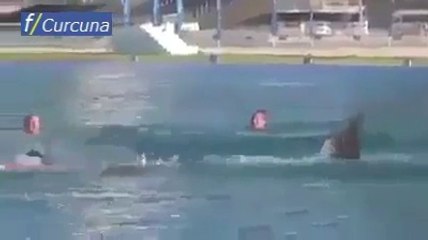 Denizdeki adama köpek balığı şakası yapılırsa