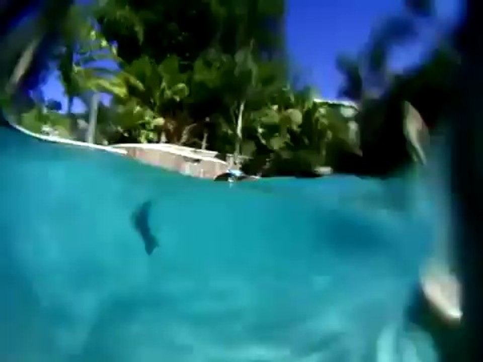 Quincy Down Under Funny Pranks and Funny Animals Clips 2014