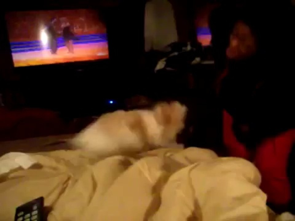 maw maw always happy to see gran maw Funny Pranks and Funny Animals Clips 2014