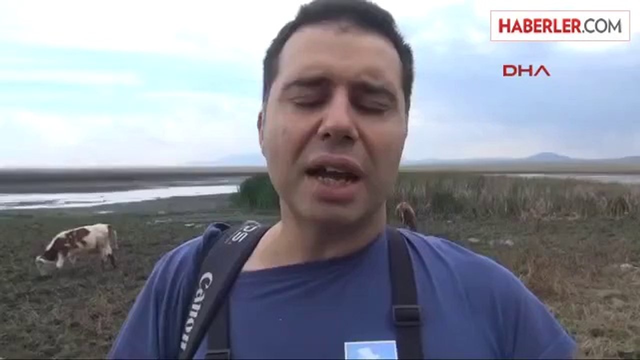 Kuyucuk Kuş Cenneti Kurudu, 232 Kuş Türünden Sadece Angutlar Kaldı