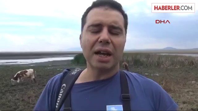 Kuyucuk Kuş Cenneti Kurudu, 232 Kuş Türünden Sadece Angutlar Kaldı