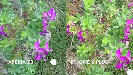 Confronto qualita registrazione video iPhone 6 Plus e Xperia Z3