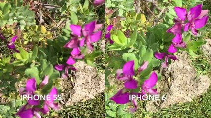 Confronto qualità registrazione video iPhone 6 e iphone 5s