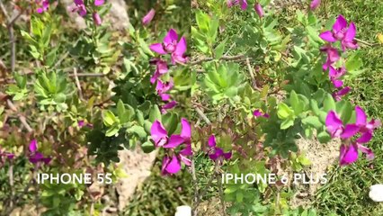 Confronto Video iPhone 6 Plus e iphone 5s