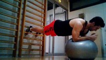 David Costa - Fitness Model - Pompes & gainage sur ballon / push up & core