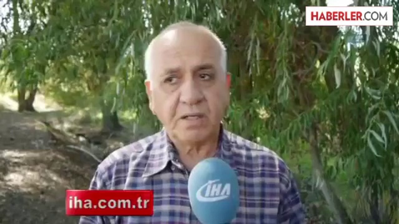 Şehit Kanı mı ?