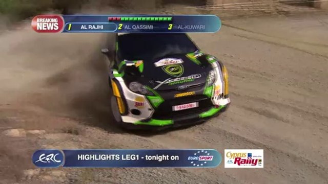 FIA ERC Asfalistiki Cyprus Rally 2014 - Standings After SS3