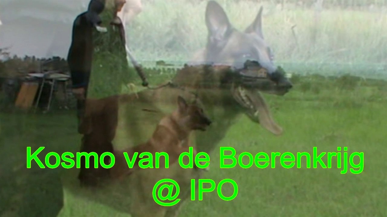 Kosmo van de Boerenkrijg @ IPO-Training
