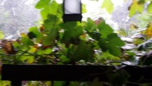 Wat regen. .