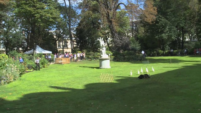 Le travail du chien de berger expliqué lors des Journées du patrimoine