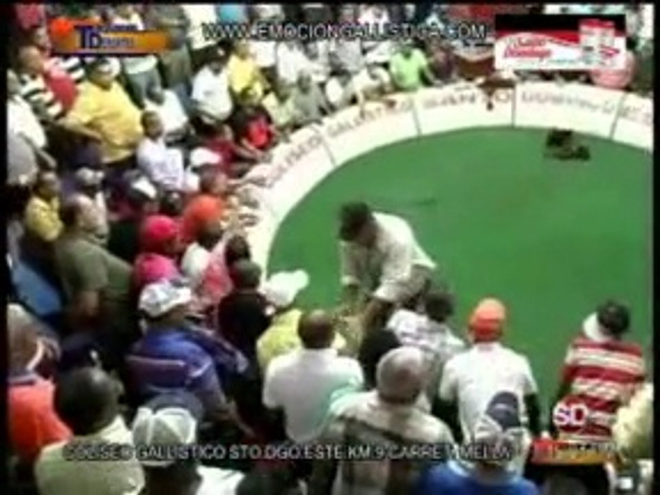 Programa-TECNODEPORTES-16-9-2014-COLISEO-STO.DGO.ESTE