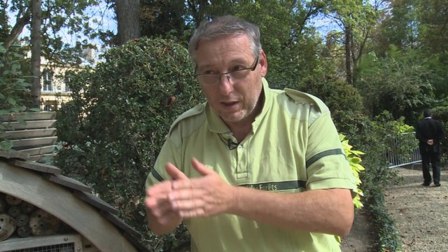 Un hôtel à abeilles sauvages exposé lors des Journées du patrimoine