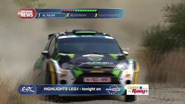 FIA ERC Asfalistiki Cyprus Rally 2014 - Standings After SS6