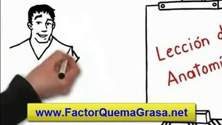 _ El Problema con Factor Quema Grasa _