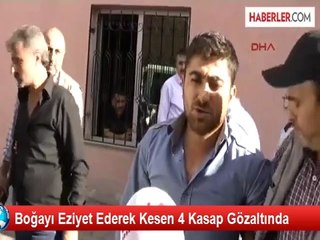 Kayseri'de Boğayı Eziyet Ederek Kesen 4 Kasap Gözaltında