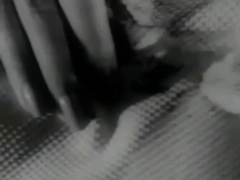 1957 CHARMIN PAPER TOWELS COMMERCIAL ~ DISCONTINUED PRODUCT