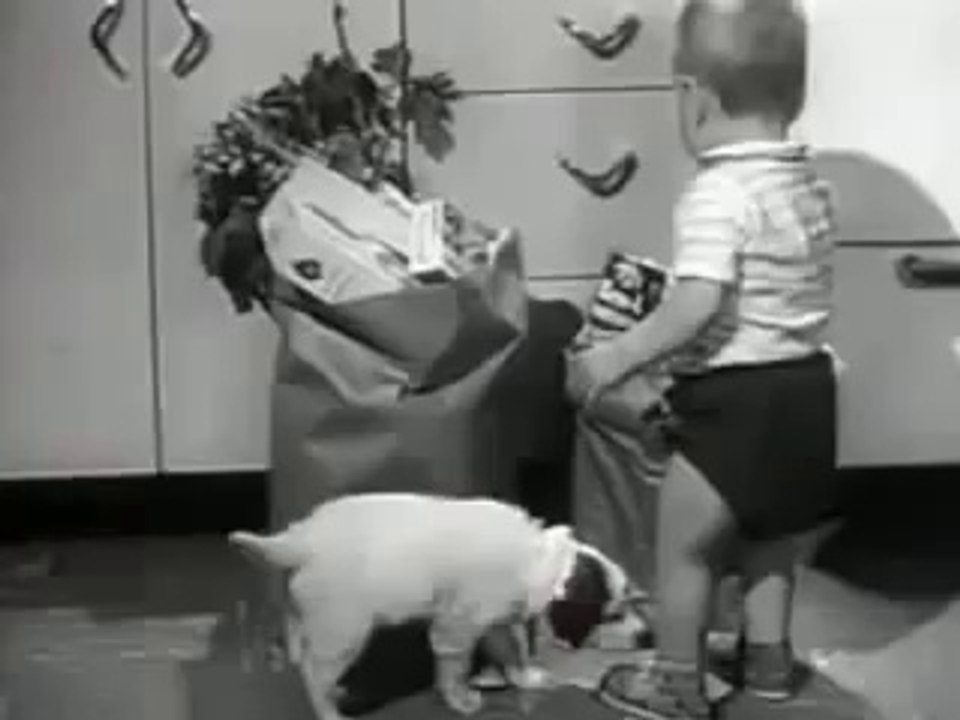 1959 KEN L RATION DOG FOOD COMMERCIAL ~ A CUTE TODDLER & A CUTE PUPPY