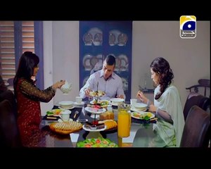 Bashar Momin Episode 17 on Geo Tv 20 September 2014