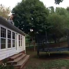 New Vine - Cool Stuff Hurts