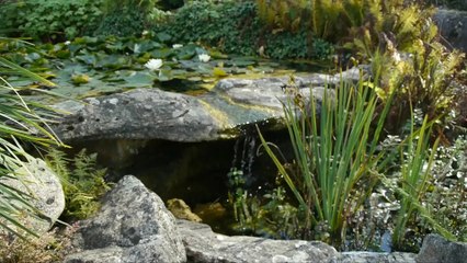 Les trésors du Jardin Botanique du Montet