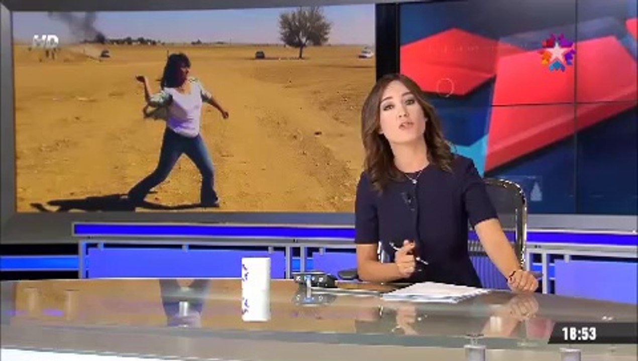 Polise, Askere taş atan HDP'li Aysel Tuğluk kendini savunmuş