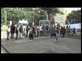 Napoli - ''Quattrozampe in Fiera'' alla Mostra d'Oltremare (20.09.14)