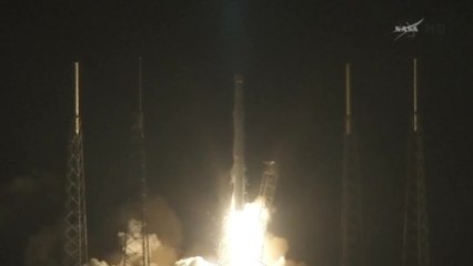 SpaceX Falcon rocket blasts off from Florida