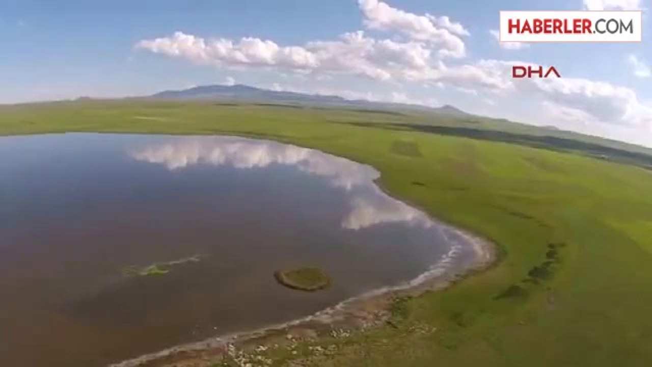 Kuyucuk Kuş Cenneti Kurudu, 232 Kuş Türünden Sadece Angutlar Kaldı