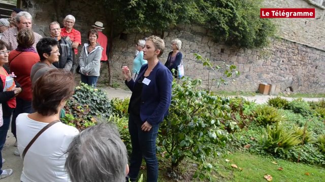 Paimpol : l'abbaye de Beauport livre ses secrets