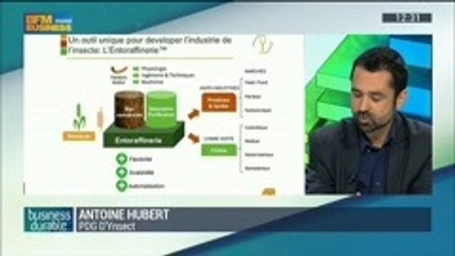 Le potentiel des insectes: Antoine Hubert et Olivier Duverdier, dans Business Durable - 21/09 3/4